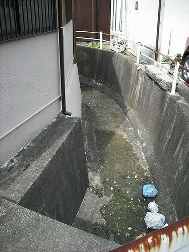0300.jpg