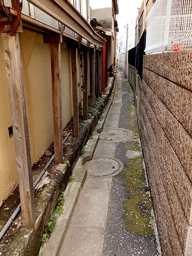 0569-3.jpg