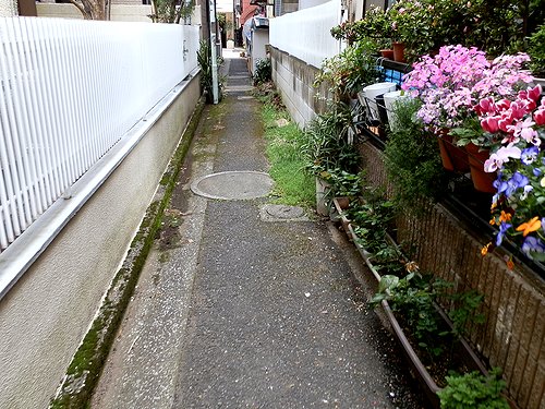 0570-3.jpg