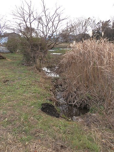 0602-09.jpg