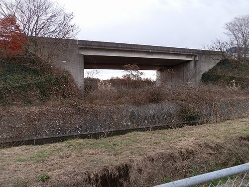 0603-01.jpg