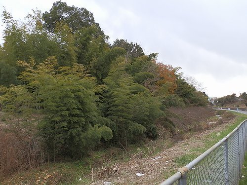 0603-05.jpg