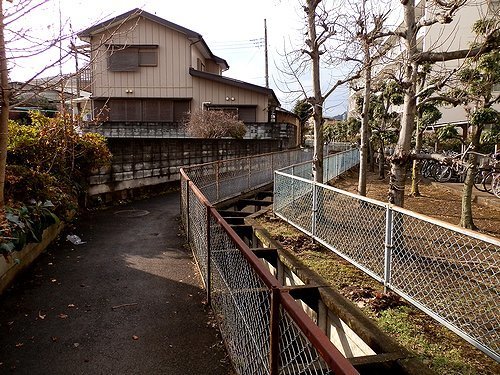 0605-14.jpg