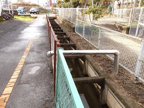0605-15.jpg
