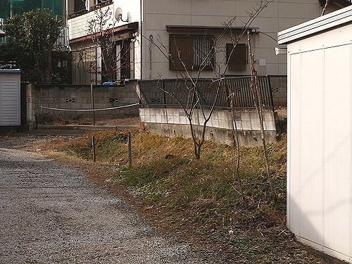 0606-16.jpg