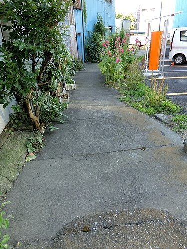 0607-2.jpg