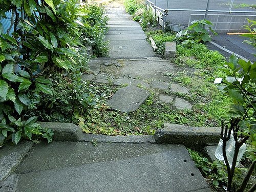0607-5.jpg