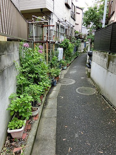 0611-14.jpg