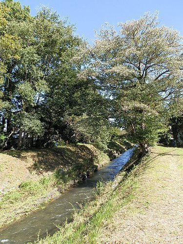 0612-09.jpg