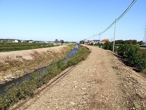 0612-15.jpg