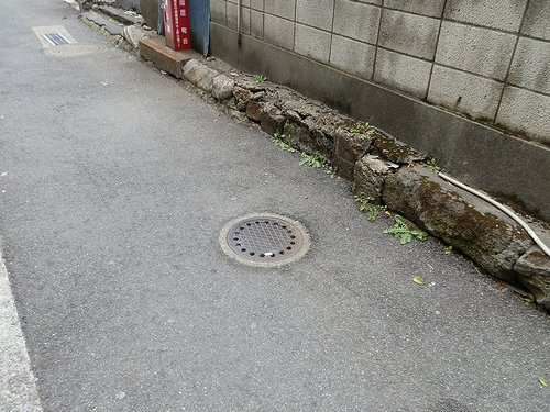 2012-04-11-05.jpg