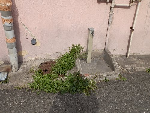 2012-04-11-10.jpg