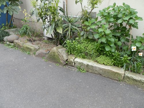 2012-04-11-11.jpg