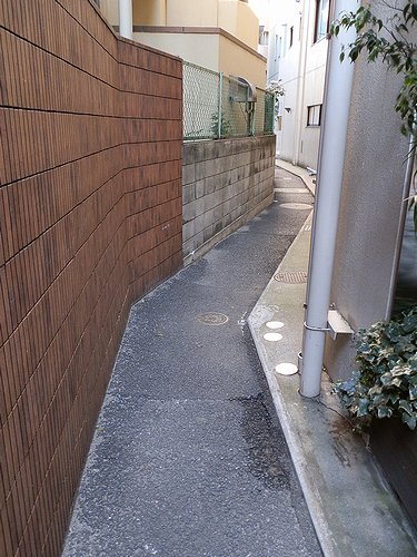 20130120-11.jpg