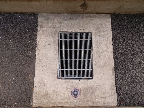20130120-13.jpg