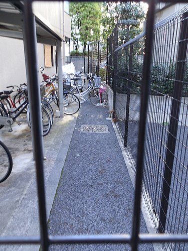 20130120-16.jpg
