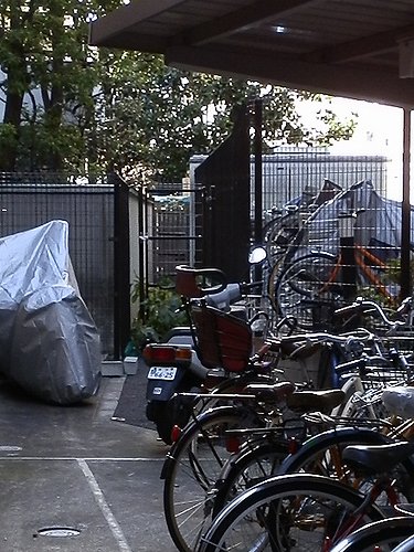 20130120-17.jpg
