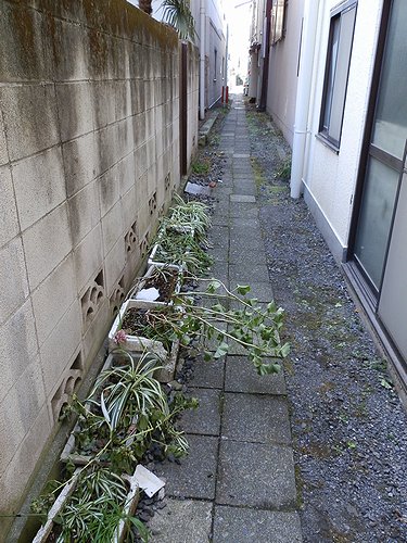 20130120-27.jpg