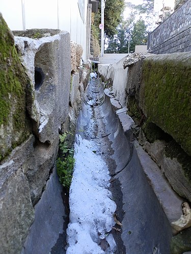 20130120-30.jpg