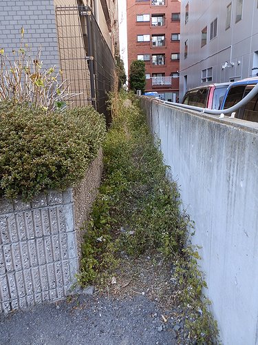 20130120-34.jpg