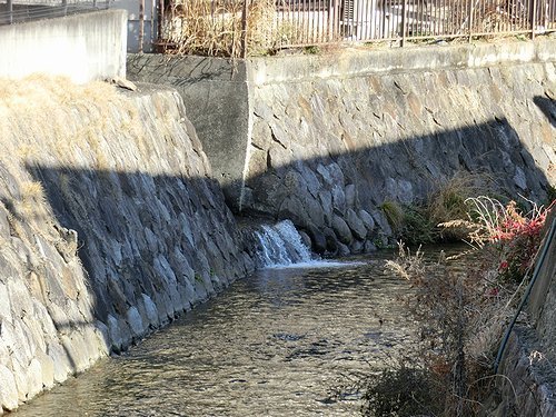 20160104_19.jpg